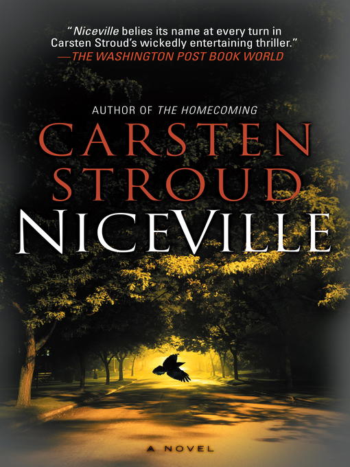 Cover image for Niceville